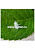 BL-FL760RUGC, Светодиод "Пиранья" зеленый 160" 700мКд 574нМ (Ultra Green)