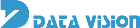 Data Vision