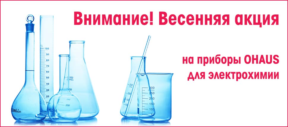 Spring_action_banner_4.jpg