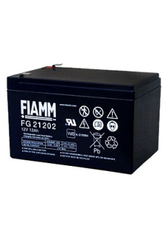 FG21202, 12В,12АЧ,151Х98Х94