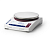 Весы лабораторные Mettler Toledo JL602GE